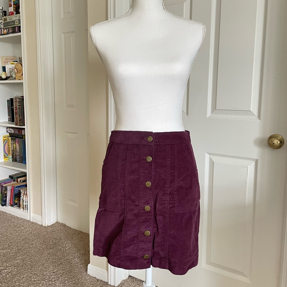 Adam Levine • Purple Corduroy Skirt